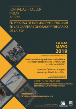 afiche PIIMEI 2019-01