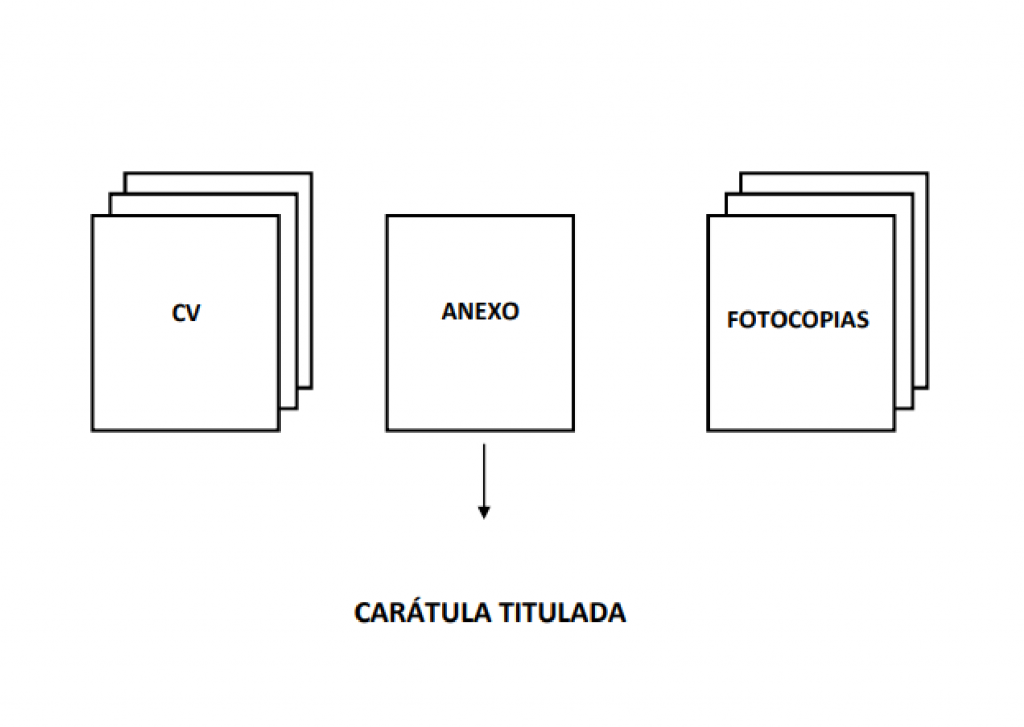 c breves_Mesa de trabajo 1